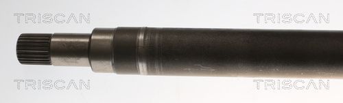 Pusašis TRISCAN 8540 16660