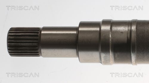 Pusašis TRISCAN 8540 16662