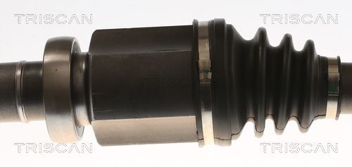 Pusašis TRISCAN 8540 16662