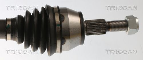 Pusašis TRISCAN 8540 16662