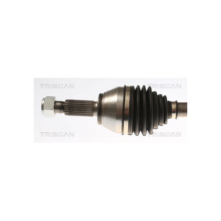 Pusašis TRISCAN 8540 16663