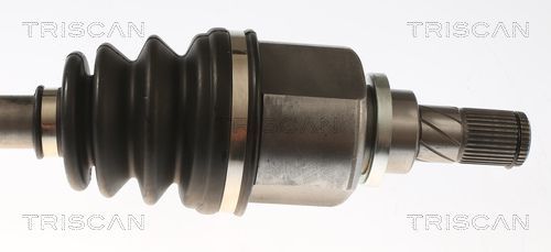 Pusašis TRISCAN 8540 16663