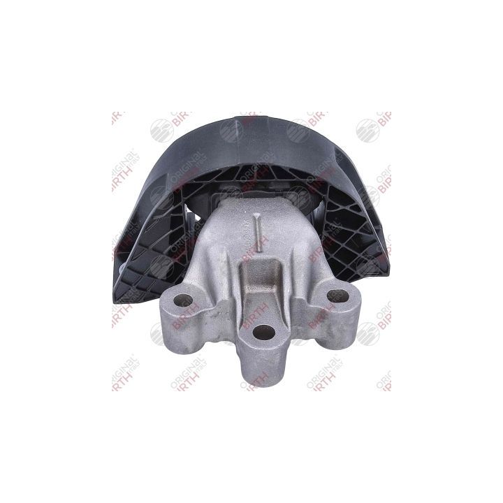 Variklio montavimas BIRTH 57102