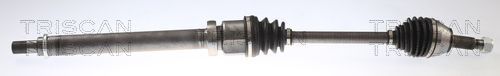Pusašis TRISCAN 8540 16664