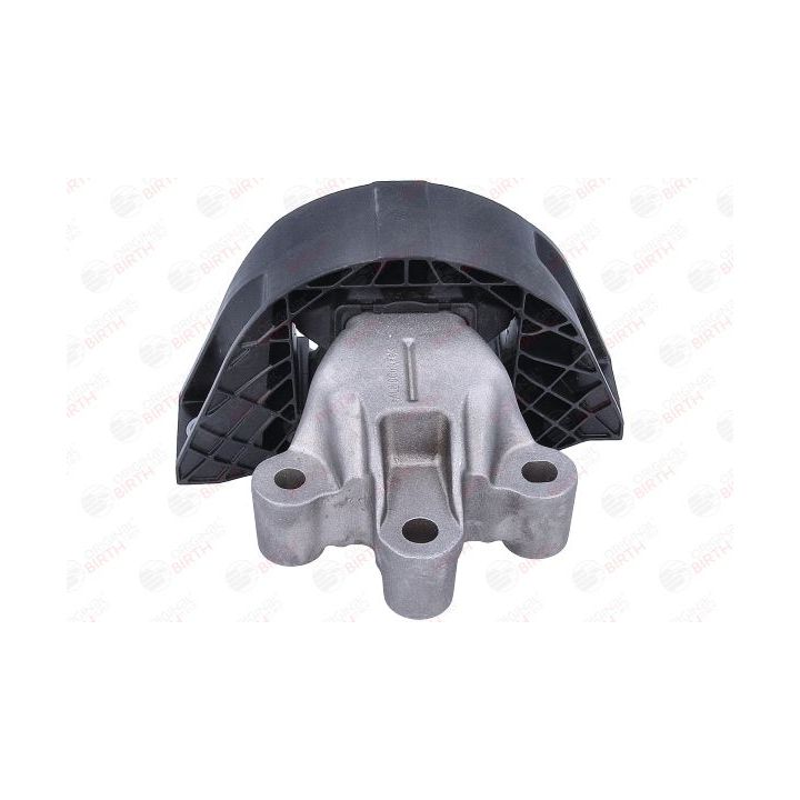 Variklio montavimas BIRTH 57102