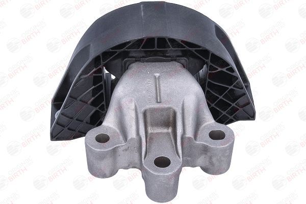 Variklio montavimas BIRTH 57102