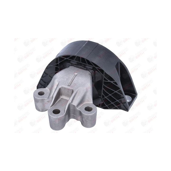 Variklio montavimas BIRTH 57102