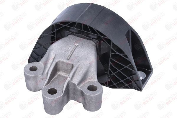 Variklio montavimas BIRTH 57102