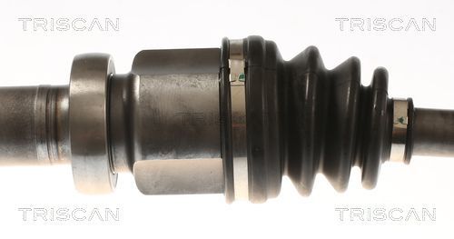 Pusašis TRISCAN 8540 16664