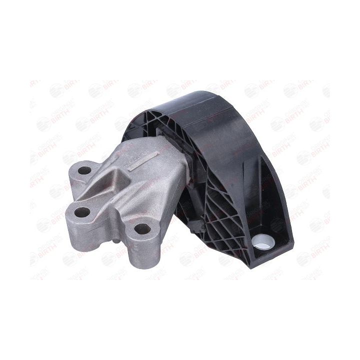 Variklio montavimas BIRTH 57102