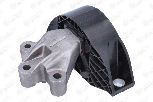 Variklio montavimas BIRTH 57102