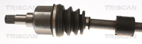 Pusašis TRISCAN 8540 16665