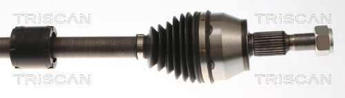 Pusašis TRISCAN 8540 16665