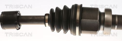 Pusašis TRISCAN 8540 16666