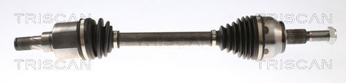 Pusašis TRISCAN 8540 16667
