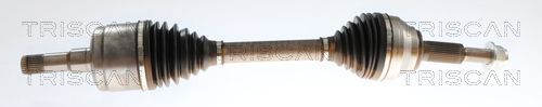 Pusašis TRISCAN 8540 16683