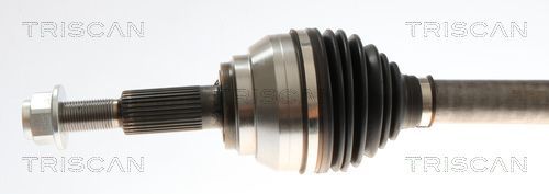 Pusašis TRISCAN 8540 16684