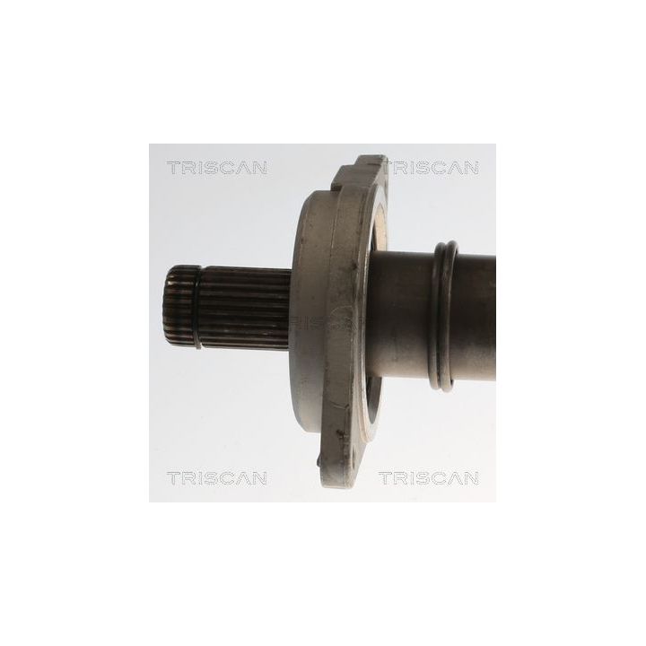 Pusašis TRISCAN 8540 23551