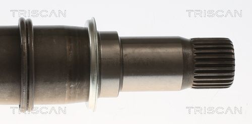 Pusašis TRISCAN 8540 23551