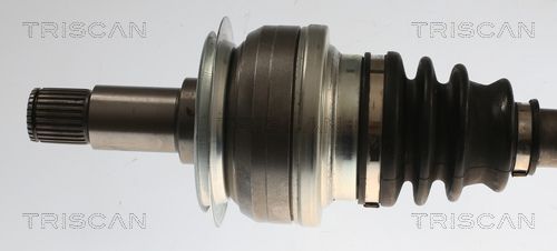 Pusašis TRISCAN 8540 23559