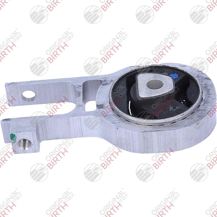 Variklio montavimas BIRTH 57135