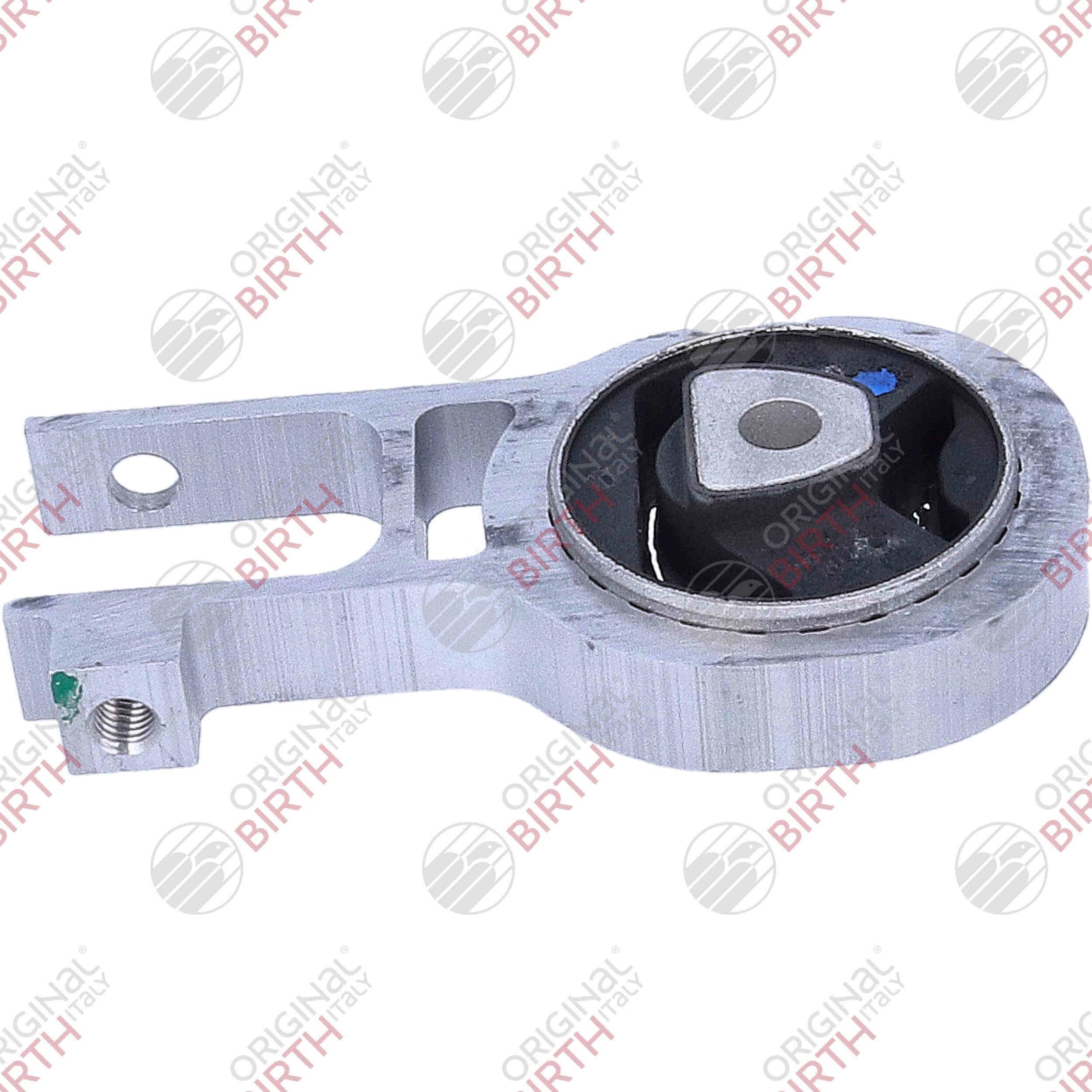 Variklio montavimas BIRTH 57135