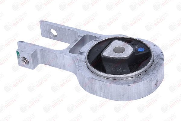 Variklio montavimas BIRTH 57135