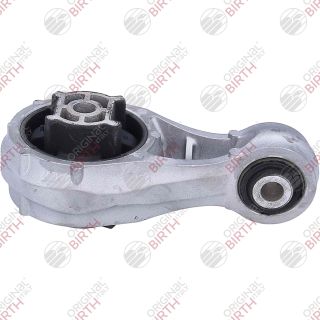 Variklio montavimas BIRTH 57138