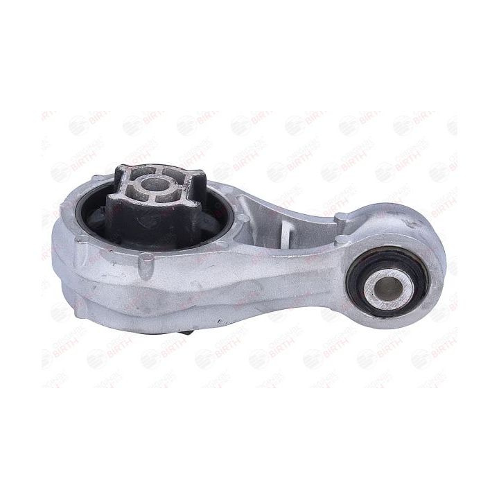 Variklio montavimas BIRTH 57138