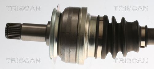 Pusašis TRISCAN 8540 23562