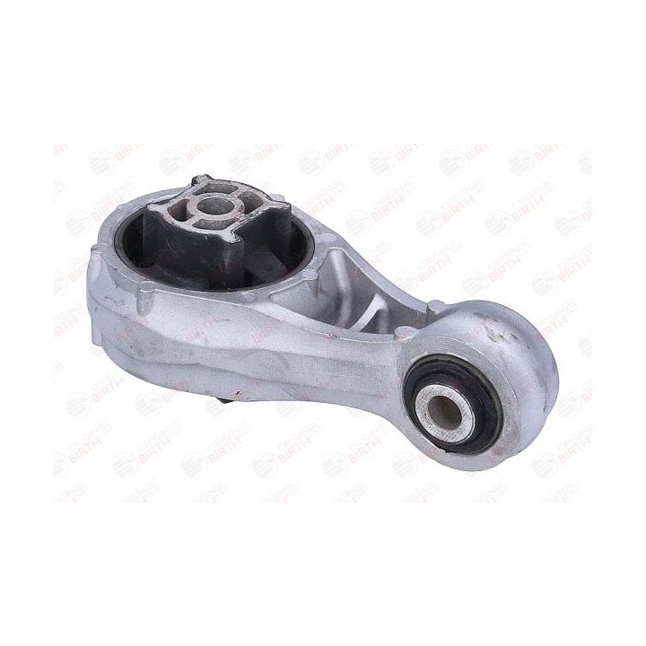 Variklio montavimas BIRTH 57138