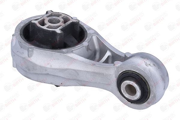 Variklio montavimas BIRTH 57138