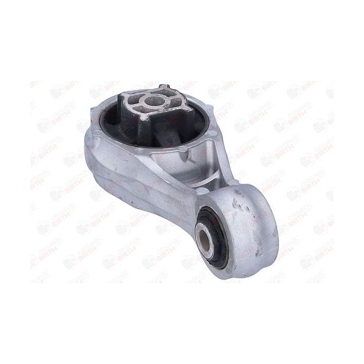 Variklio montavimas BIRTH 57138