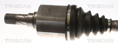 Pusašis TRISCAN 8540 23563