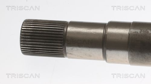 Pusašis TRISCAN 8540 23564