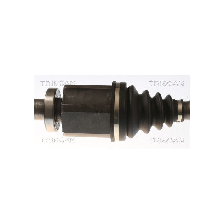 Pusašis TRISCAN 8540 23564