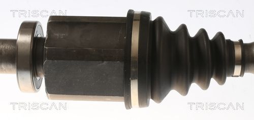 Pusašis TRISCAN 8540 23564