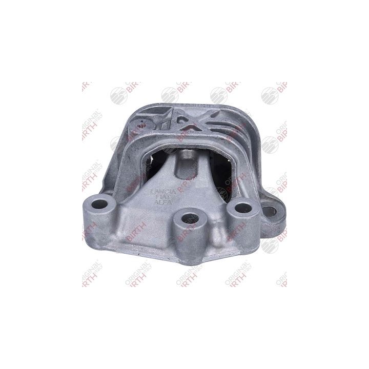 Variklio montavimas BIRTH 57146