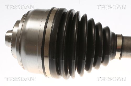 Pusašis TRISCAN 8540 23565