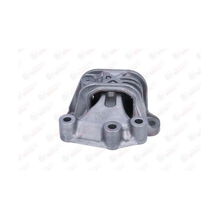 Variklio montavimas BIRTH 57146