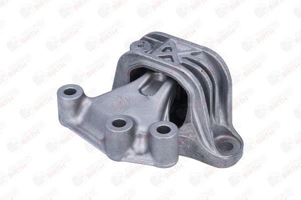 Variklio montavimas BIRTH 57146