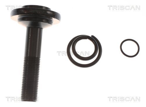 Pusašis TRISCAN 8540 23565