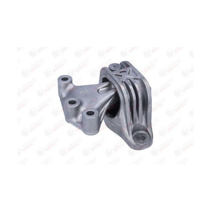 Variklio montavimas BIRTH 57146