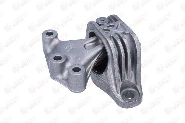 Variklio montavimas BIRTH 57146