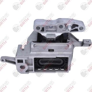 Variklio montavimas BIRTH 57149