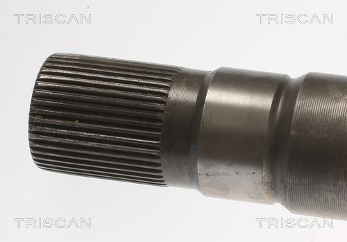 Pusašis TRISCAN 8540 23566