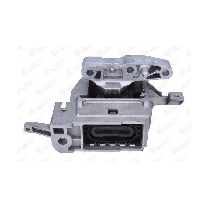 Variklio montavimas BIRTH 57149