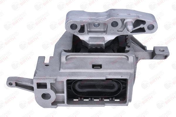 Variklio montavimas BIRTH 57149