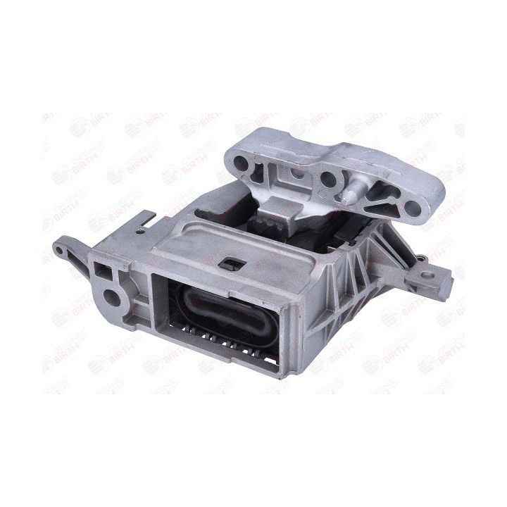 Variklio montavimas BIRTH 57149