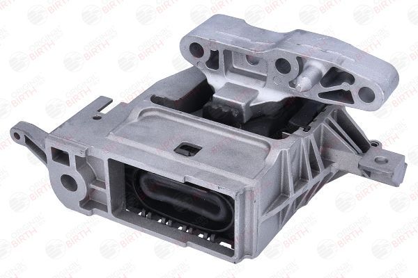 Variklio montavimas BIRTH 57149